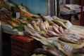 Fischhändler in Aleppo 