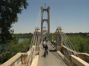  Hängebrücke in Deir Ezzor
